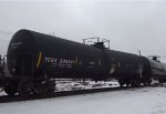TCBX 305341